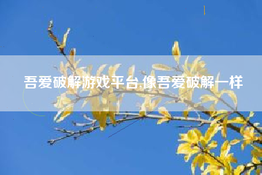 吾爱破解游戏平台,像吾爱破解一样