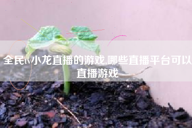 全民tv小龙直播的游戏,哪些直播平台可以直播游戏