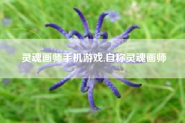 灵魂画师手机游戏,自称灵魂画师