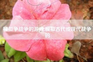 模拟争战争的游戏,模拟古代或现代战争的