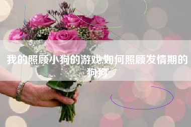 我的照顾小狗的游戏,如何照顾发情期的狗狗