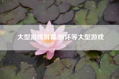 大型游戏屏幕,崩坏等大型游戏