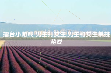 擂台小游戏 男生打女生,男生和女生单挑游戏