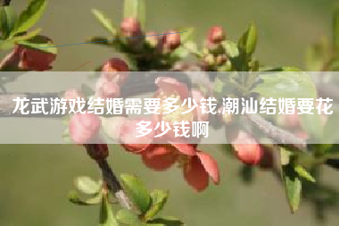 龙武游戏结婚需要多少钱,潮汕结婚要花多少钱啊