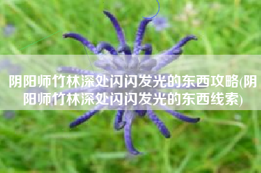 阴阳师竹林深处闪闪发光的东西攻略(阴阳师竹林深处闪闪发光的东西线索)