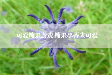 可爱糖果游戏,糖果小乔太可爱