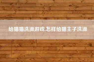 给猫猫洗澡游戏,怎样给猫主子洗澡