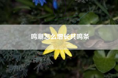 鸣潮怎么增长共鸣条