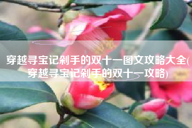 穿越寻宝记剁手的双十一图文攻略大全(穿越寻宝记剁手的双十一攻略)