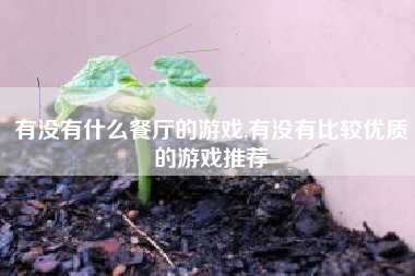 有没有什么餐厅的游戏,有没有比较优质的游戏推荐