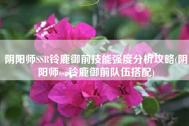 阴阳师SSR铃鹿御前技能强度分析攻略(阴阳师ssr铃鹿御前队伍搭配)