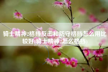 骑士精神2格挡反击和防守格挡怎么用比较好(骑士精神2怎么格挡)