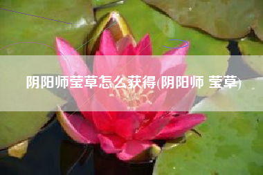 阴阳师莹草怎么获得(阴阳师 莹草)