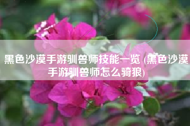 黑色沙漠手游驯兽师技能一览 (黑色沙漠手游驯兽师怎么骑狼)