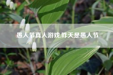 愚人节真人游戏,昨天是愚人节