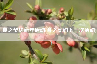 食之契约新年活动(食之契约下一次活动)
