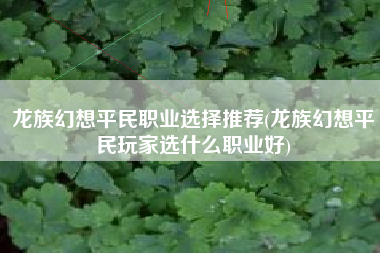 龙族幻想平民职业选择推荐(龙族幻想平民玩家选什么职业好)