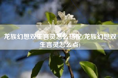 龙族幻想双生言灵怎么搭配(龙族幻想双生言灵怎么点)