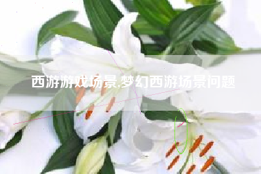西游游戏场景,梦幻西游场景问题