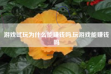 游戏试玩为什么能赚钱吗,玩游戏能赚钱吗