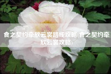 食之契约牵欣云裳路线攻略(食之契约牵欣云裳攻略)