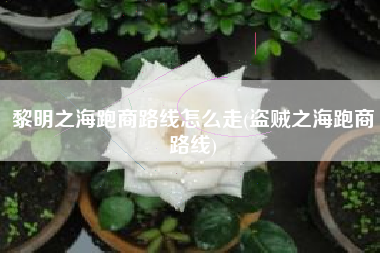 黎明之海跑商路线怎么走(盗贼之海跑商路线)