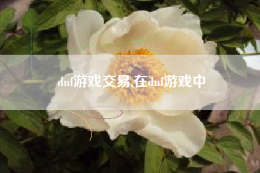 dnf游戏交易,在dnf游戏中