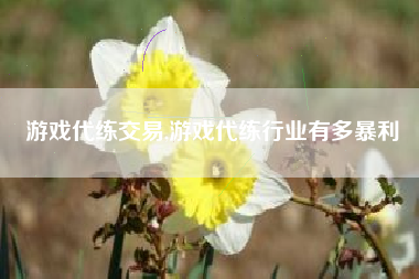 游戏代练交易,游戏代练行业有多暴利