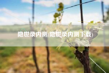 隐世录内测(隐世录内测下载)
