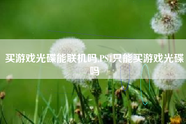买游戏光碟能联机吗,PS4只能买游戏光碟吗