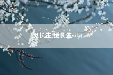 觅长生(觅长生wiki)