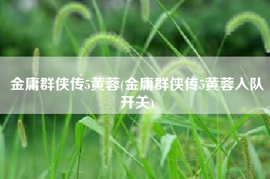 金庸群侠传5黄蓉(金庸群侠传5黄蓉入队开关)