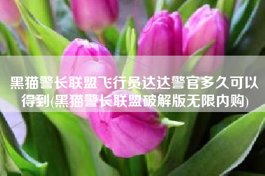 黑猫警长联盟飞行员达达警官多久可以得到(黑猫警长联盟破解版无限内购)