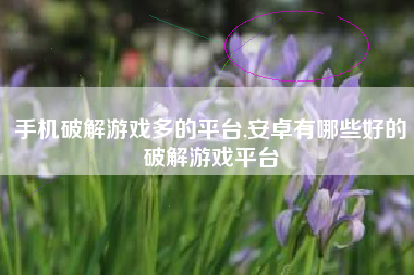 手机破解游戏多的平台,安卓有哪些好的破解游戏平台
