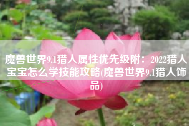 魔兽世界9.1猎人属性优先级附：2022猎人宝宝怎么学技能攻略(魔兽世界9.1猎人饰品)