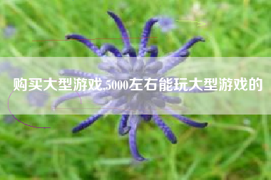 购买大型游戏,5000左右能玩大型游戏的