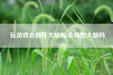 玩游戏会损坏大脑吗,会损伤大脑吗