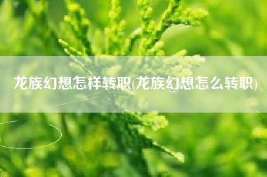 龙族幻想怎样转职(龙族幻想怎么转职)