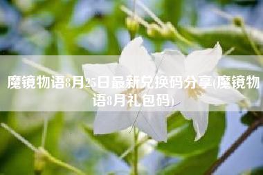 魔镜物语8月25日最新兑换码分享(魔镜物语8月礼包码)