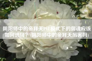 阴阳师中的帝释天PVE模式下的御魂应该如何选择？(阴阳师中的帝释天厉害吗)