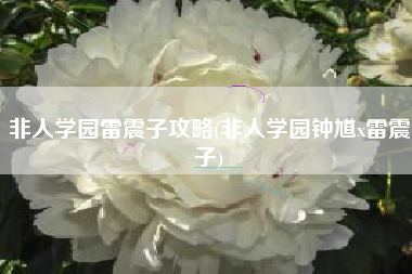 非人学园雷震子攻略(非人学园钟馗x雷震子)