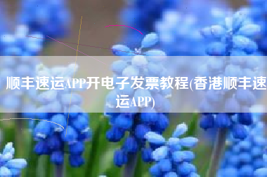顺丰速运APP开电子发票教程(香港顺丰速运APP)
