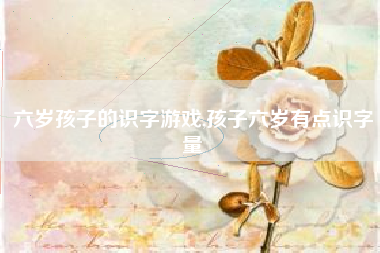 六岁孩子的识字游戏,孩子六岁有点识字量
