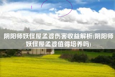 阴阳师妖怪屋孟婆伤害收益解析(阴阳师妖怪屋孟婆值得培养吗)