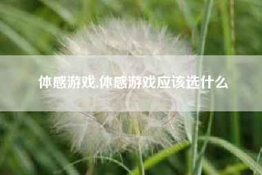 体感游戏,体感游戏应该选什么