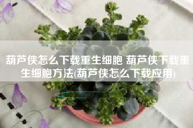 葫芦侠怎么下载重生细胞 葫芦侠下载重生细胞方法(葫芦侠怎么下载应用)