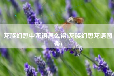 龙族幻想中龙语怎么得(龙族幻想龙语图鉴)