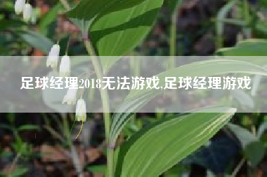 足球经理2018无法游戏,足球经理游戏