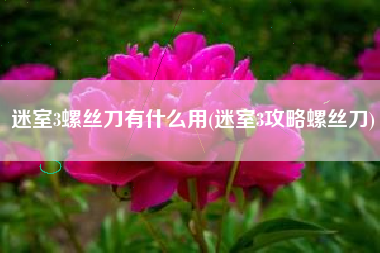 迷室3螺丝刀有什么用(迷室3攻略螺丝刀)