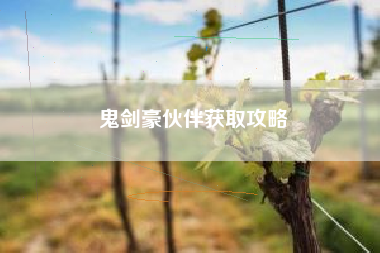 鬼剑豪伙伴获取攻略